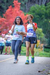 BIB: 8214, 8216
                            <button type="button" onclick="openModal(19241208)" class="btn btn-primary btn-sm float-right btn-popup" data-toggle="modal" data-target=".modal-high-quality">
                        <i class="fas fa-shopping-cart"></i> Add to Cart
                    </button>
                                            <button type="button" onclick="isThisMe(19241208, true)" class="btn btn-success btn-sm float-right btn-popup btn-isme hidden" data-toggle="tooltip" data-placement="bottom" title="นี่คือรูปของคุณใช่ไหม คลิกที่นี่เพื่อเอาเข้าอัลบั้ม">
                        <i class="fas fa-plus"></i> Add to album
                    </button>
                    <button type="button" onclick="isThisMe(19241208, false)" class="btn btn-warning btn-sm float-right btn-popup btn-isnotme hidden">
                        <i class="fas fa-ban"></i> Remove from album
                    </button>